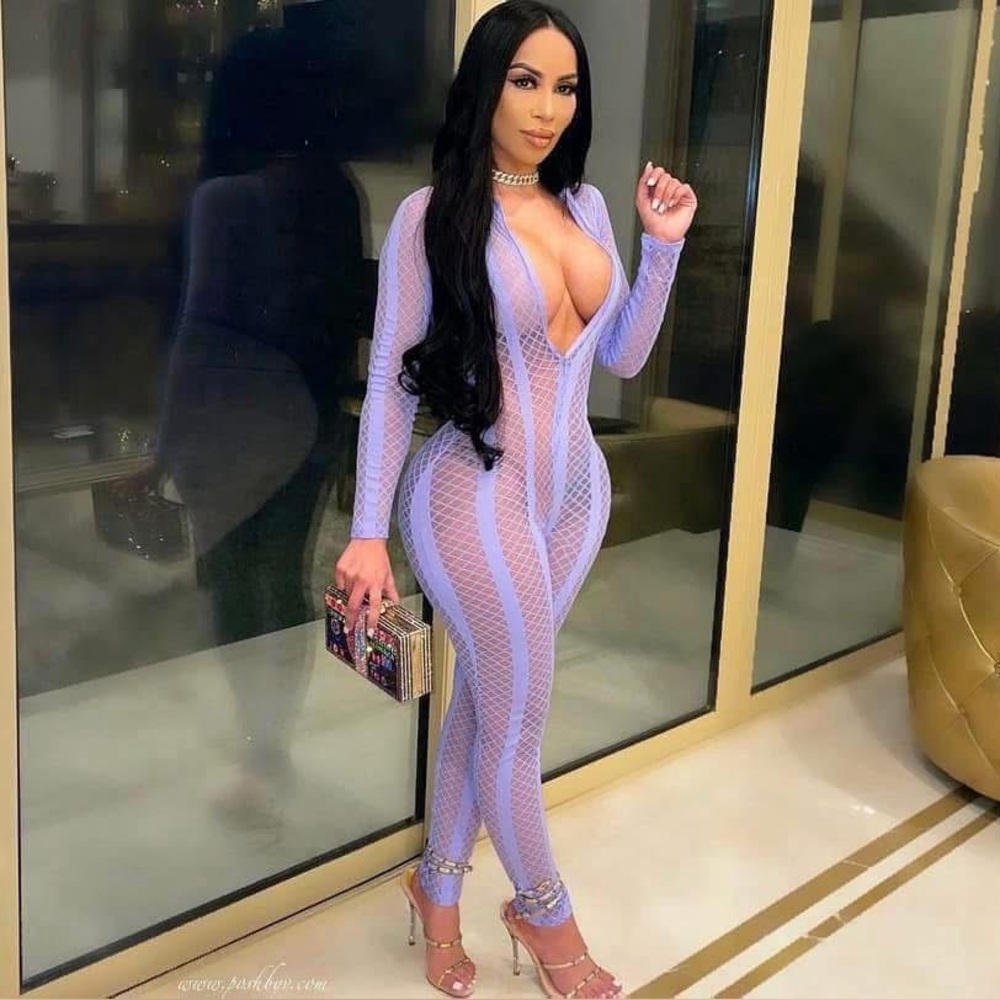 Stylish Sheer Lavender Jumpsuit